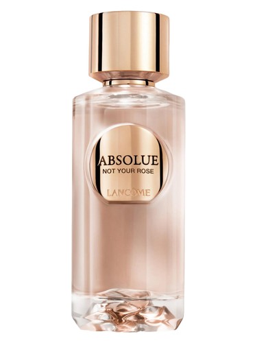 Absolue Not Your Rose Lancôme perfume by Lancome