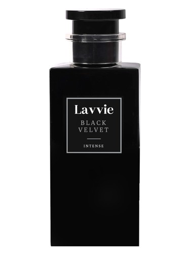 BLACK VELVET by LAVVIE PERFUMES