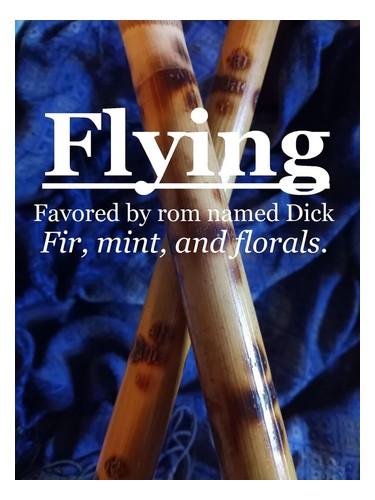 Flying by CherrykasTrunk