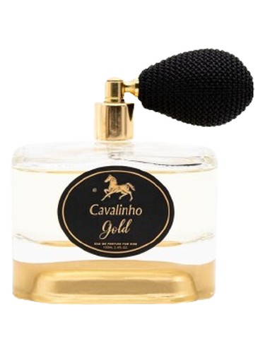 Cavalinho Gold For Him by Cavalinho