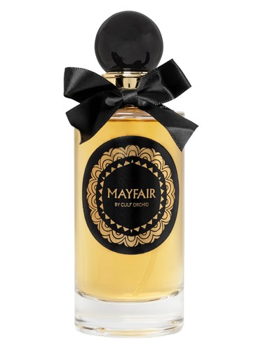 Mayfair by Gulf Orchid