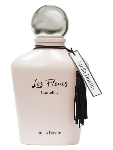 Camellia by Stella Dustin