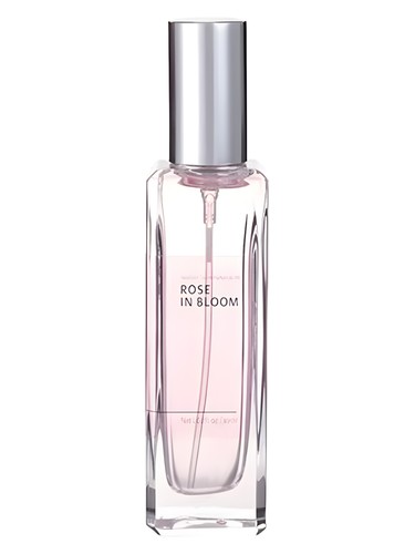 Rose in Bloom by Miniso