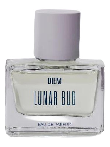 Lunar Bud by DIEM