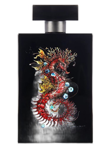 Seahorse Magic by Simone Paris