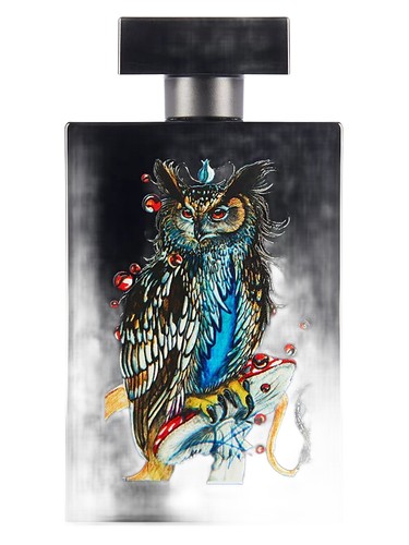 Owl Spirit by Simone Paris