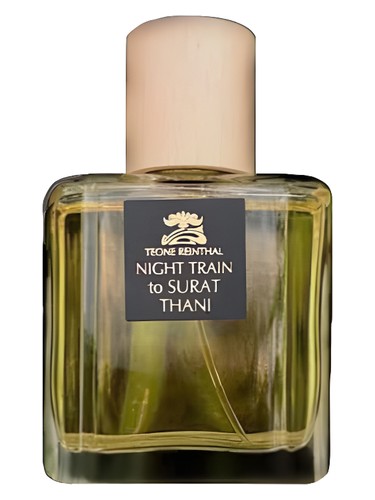 Night Train to Surat Thani by Teone Reinthal