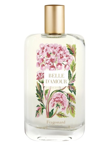 Belle d'Amour by Fragonard