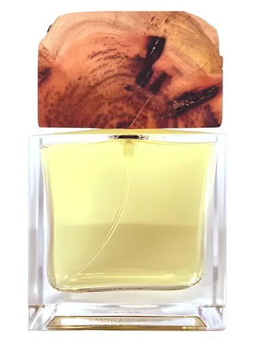 Ambra by Bibi Bigler