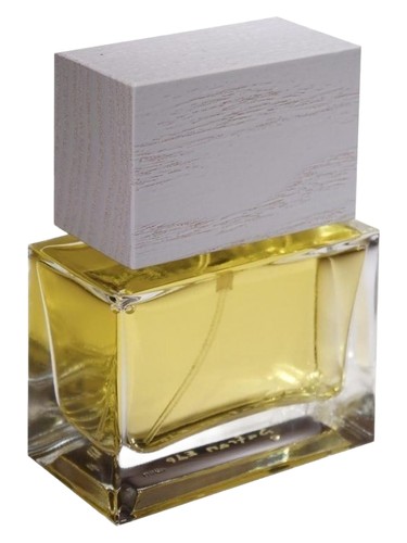 Rose N°7 by Bibi Bigler