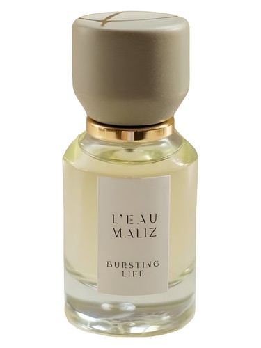 Bursting Life L'Eau Maliz perfume by L Eau Maliz