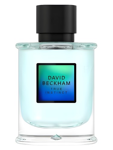 David Beckham True Instinct