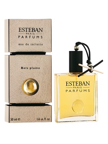 Bois Plume by Esteban