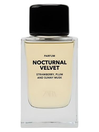 Nocturnal Velvet by Zara
