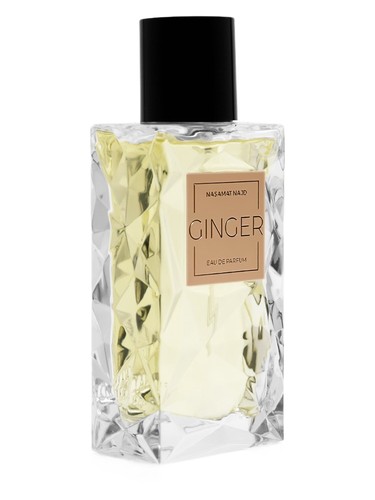 Ginger by Nasamat Najd
