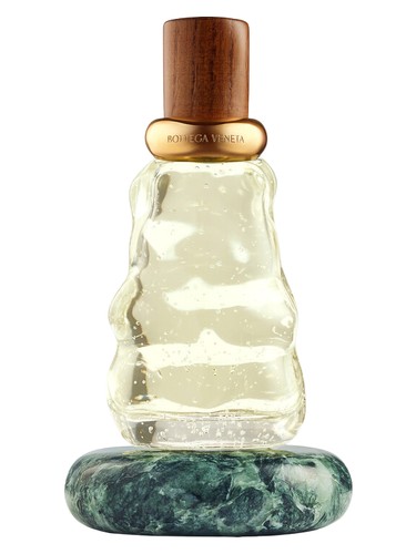 Déjà Minuit by Bottega Veneta