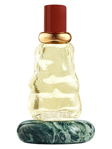 Come with Me by Bottega Veneta