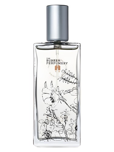 Frond by Burren Perfumery