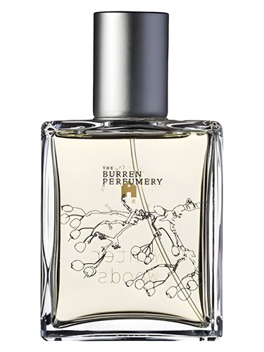 Winter Woods by Burren Perfumery