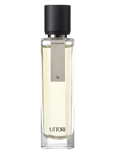 Wintersweet 梅 Uttori 五朵里 perfume by Uttori wu duo li