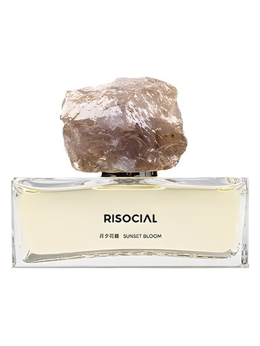 Sunset Bloom 月夕花晨 Risocial 在野南杂 perfume by Risocial zai ye nan za