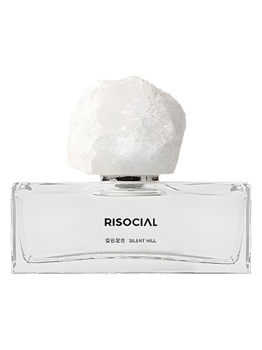 Silent Hill 空谷足音 Risocial 在野南杂 perfume by Risocial zai ye nan za