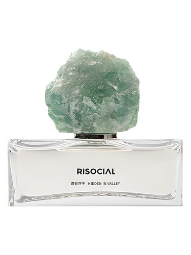 Hidden In Valley 须弥芥子 Risocial 在野南杂 perfume by Risocial zai ye nan za
