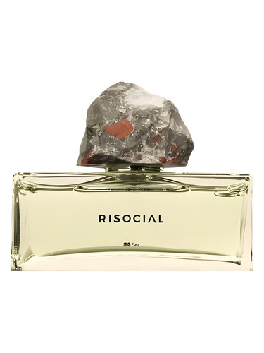 Fog 炜桑 Risocial 在野南杂 perfume by Risocial zai ye nan za