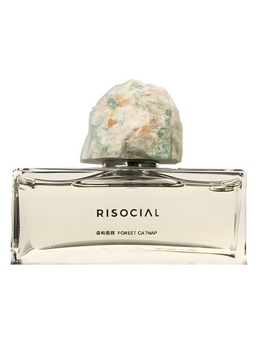 Forest Catnap 森屿假寐 Risocial 在野南杂 perfume by Risocial zai ye nan za