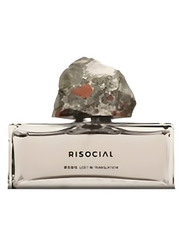 Lost In Translation 禁忌游戏 Risocial 在野南杂 perfume by Risocial zai ye nan za