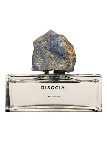 Whale Fall 鲸落 Risocial 在野南杂 perfume by Risocial zai ye nan za