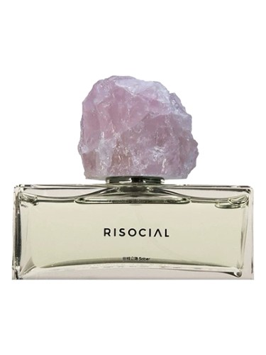 Sober 丝绒公路 Risocial 在野南杂 perfume by Risocial zai ye nan za