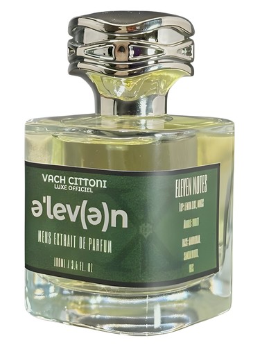 Eleven by Vach Cittoni