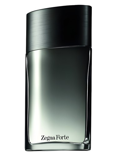 Zegna Forte by Ermenegildo Zegna