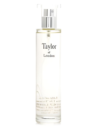 White Lily of the Valley by Taylor of London
