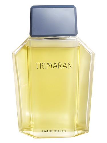 Trimaran 1986 by Yves Rocher