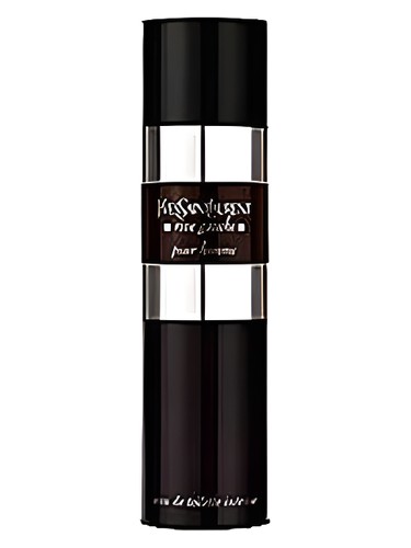 Rive Gauche Pour Homme Intense